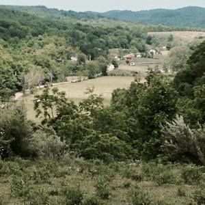 Meet your Posher, Sheila